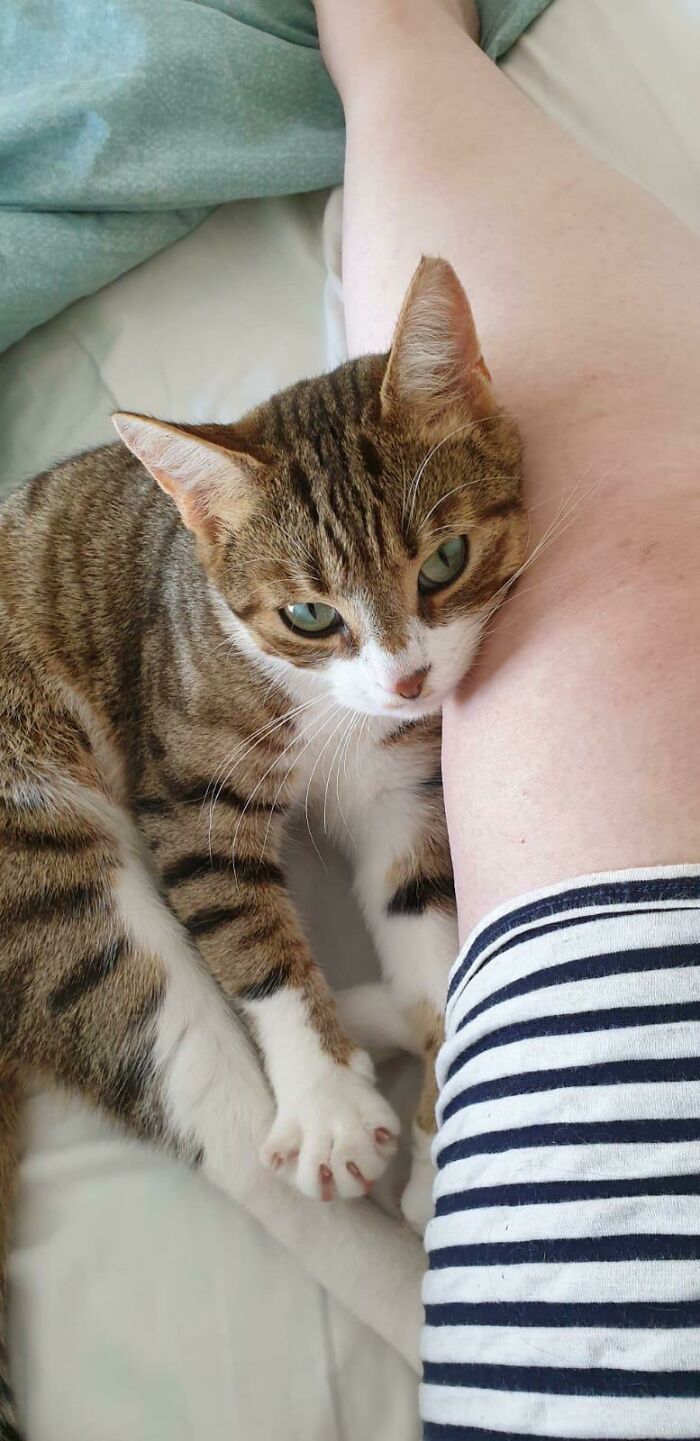 Just A Friendly Reminder That I Am A Vicious Predator