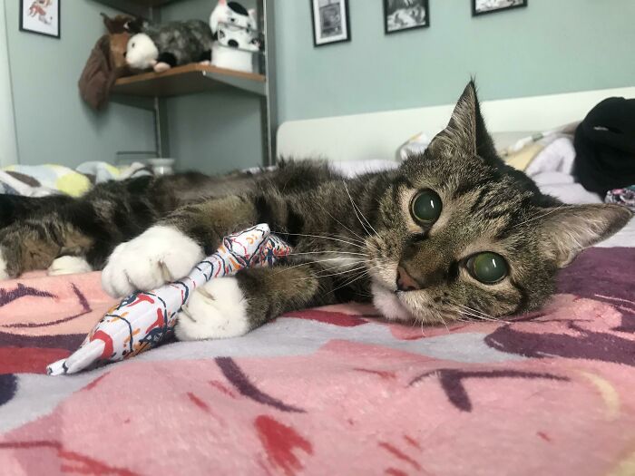 Mi cieguito mostrando sus manoplas asesinas… pero solo un poco