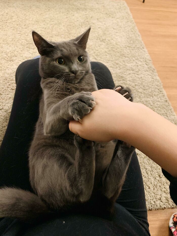 Supongo que esto no es un abrazo