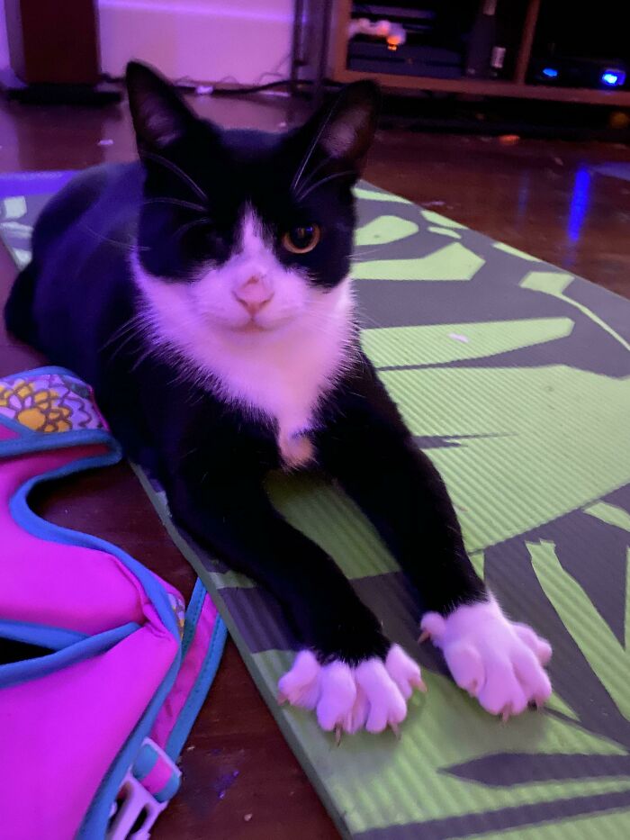 Conozcan a Uno, quien, básicamente, parece un villano salido de una película de James Bond