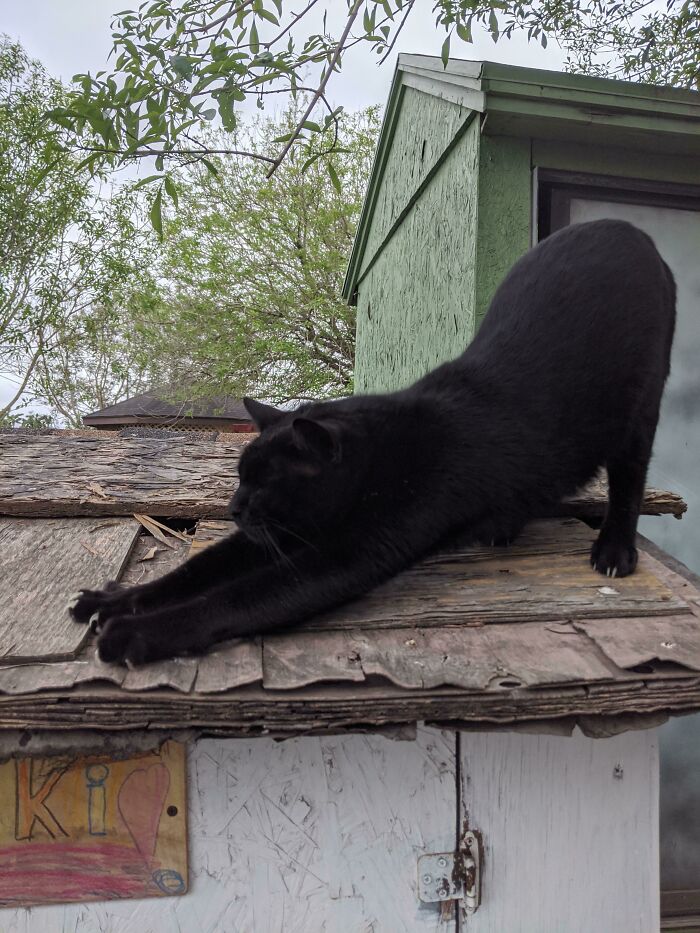 Big Strech Releases The Murder Mittens From The Void!