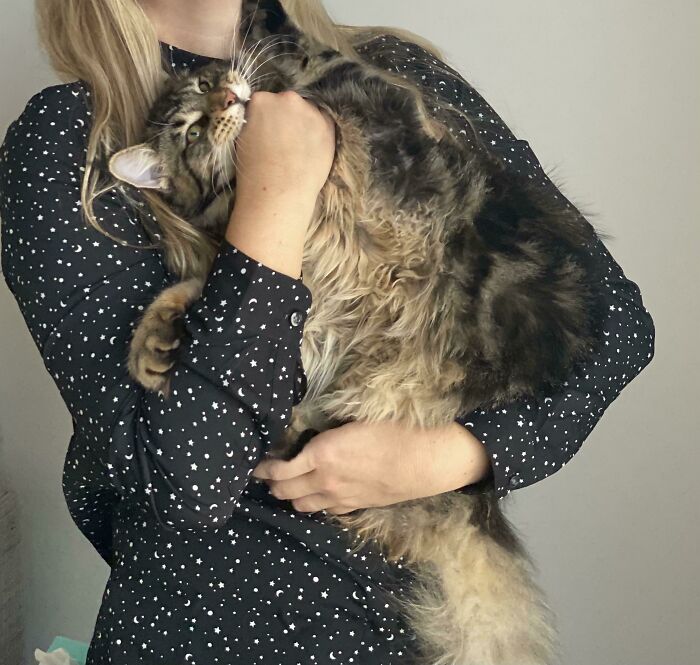 Murder Mouth Anyone?