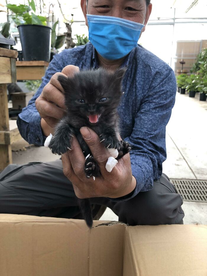 Lista para arrancarte los ojos 