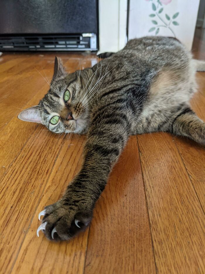 A Lady In The Streets, And A Murderer In The Sheets