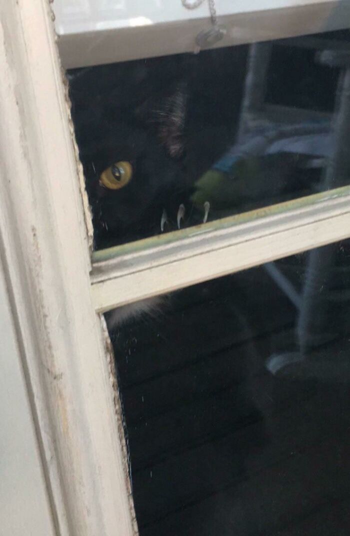 Te observa mientras duermes, sabe qué es lo que haces