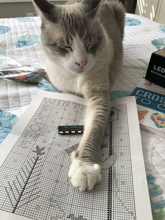 Less Stitches, More Scritches