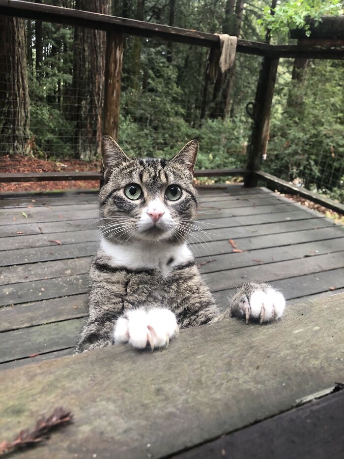 Alain Let’s It Be Known When He’s Ready To Come Inside