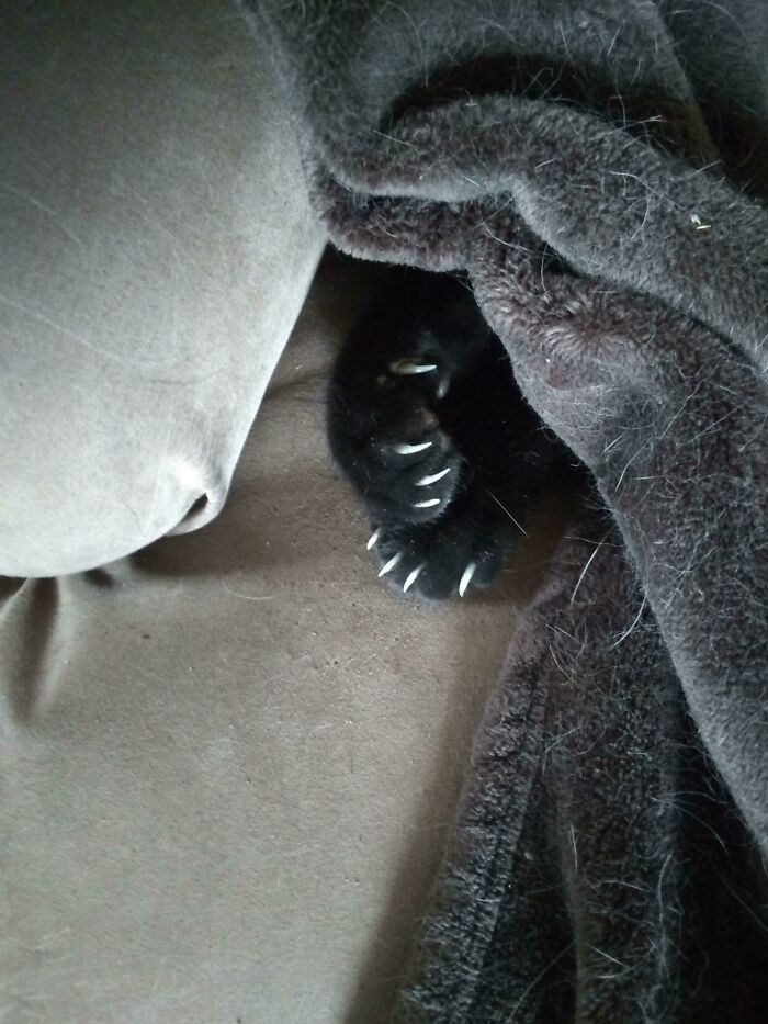 When You Stick Your Feet Out Of The Covers To Get The Temp Just Right