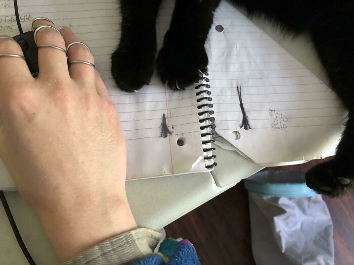 This Is How Much Space I Have On My Work-From-Home Mousepad Today