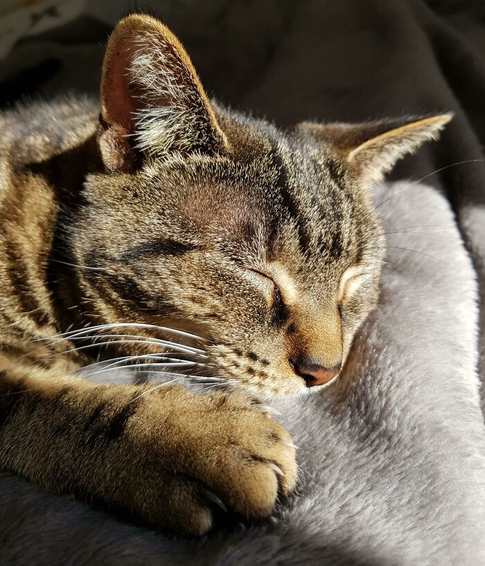 Don't Even Think About Closing Those Blinds