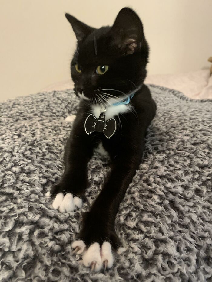 Mymble Always Dresses To Impress