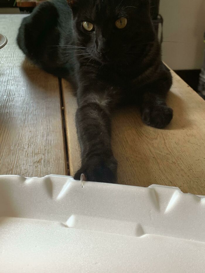 Hand Over The Omelette And No One Gets Hurt...