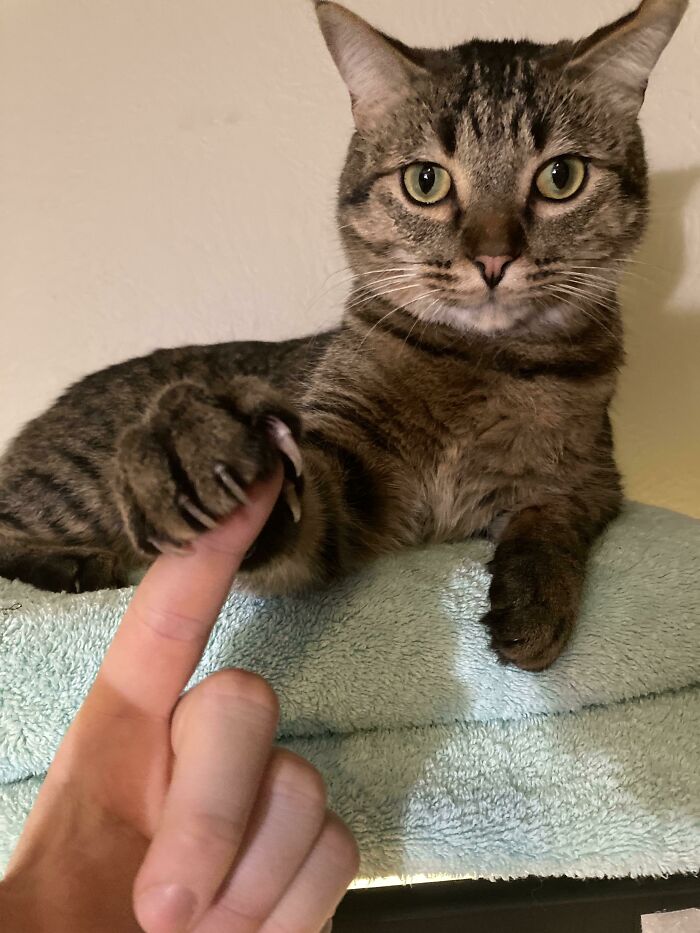 I Think I’m Being Threatened