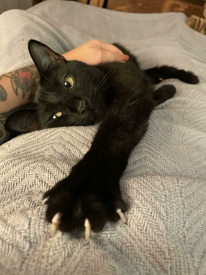 Just A Reminder… I’m The One With The Mittens