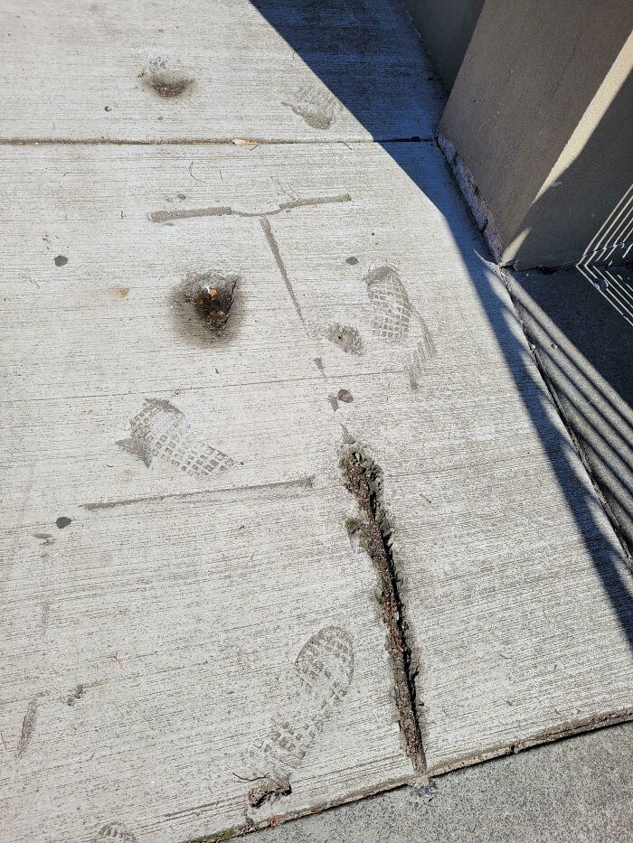 To Scoot Down The Sidewalk