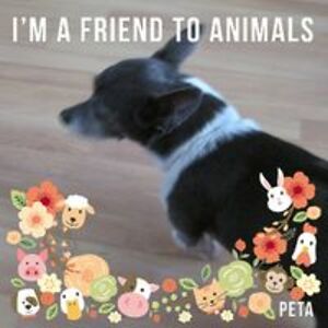 boogusdogus1119 avatar