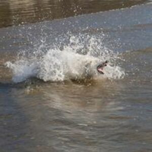 rdemartin_photo_design avatar