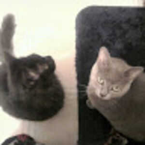 margaretgadbois avatar