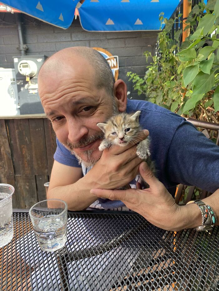 De alguna manera adopté a un gatito callejero