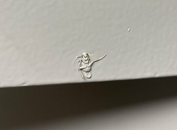 Pintaron por encima de una cucaracha