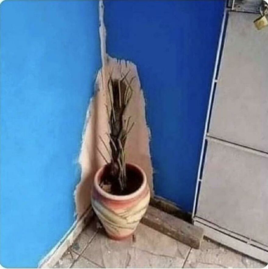 Get Paid For Painting Not Moving Plants