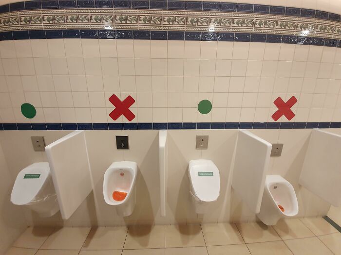 Dammit Disneyland, How Hard Is It To Properly Label A Toilet?