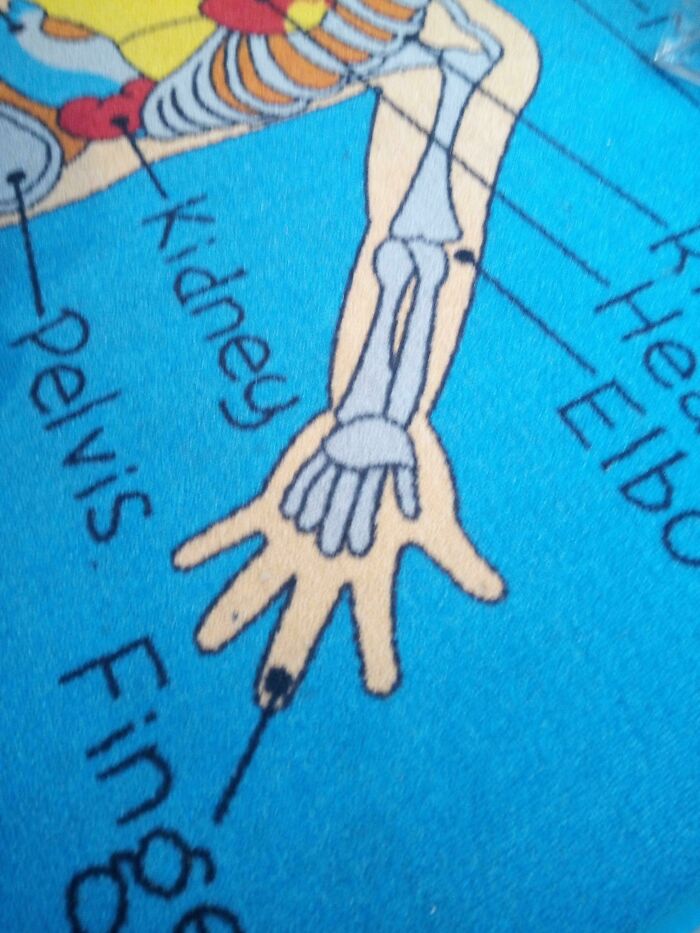 The Bones Aren't Spread