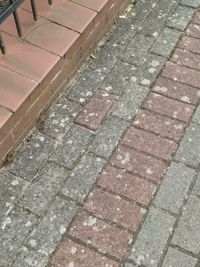 Why Did My Brain Decide To See This. I Walked That Way Many Times And Have Never Seen That Before. Why