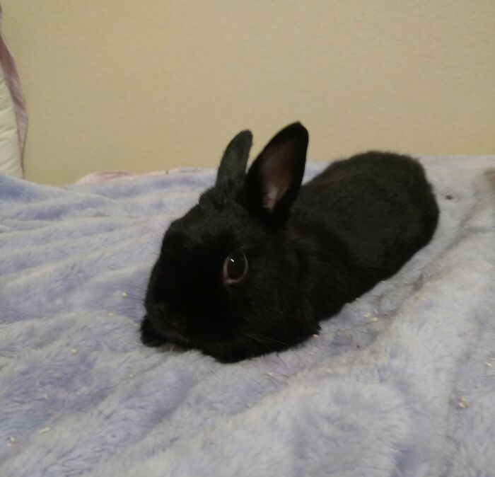 Please Keep My Sweet Boy Albus In Your Thoughts And Prayers. Nothing Wrong With Him, He's Just An Idiot