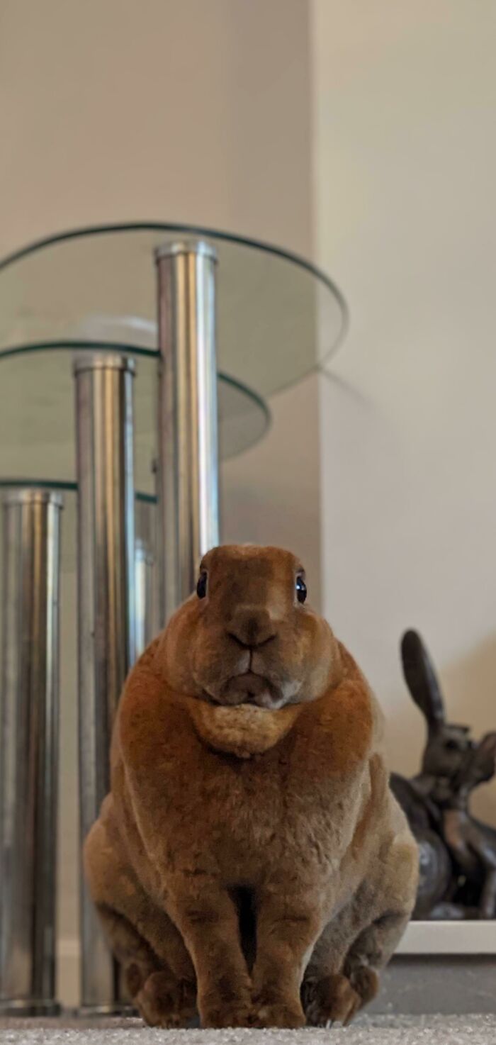 Not Sure What I've Done, But I'm Being Judged For It