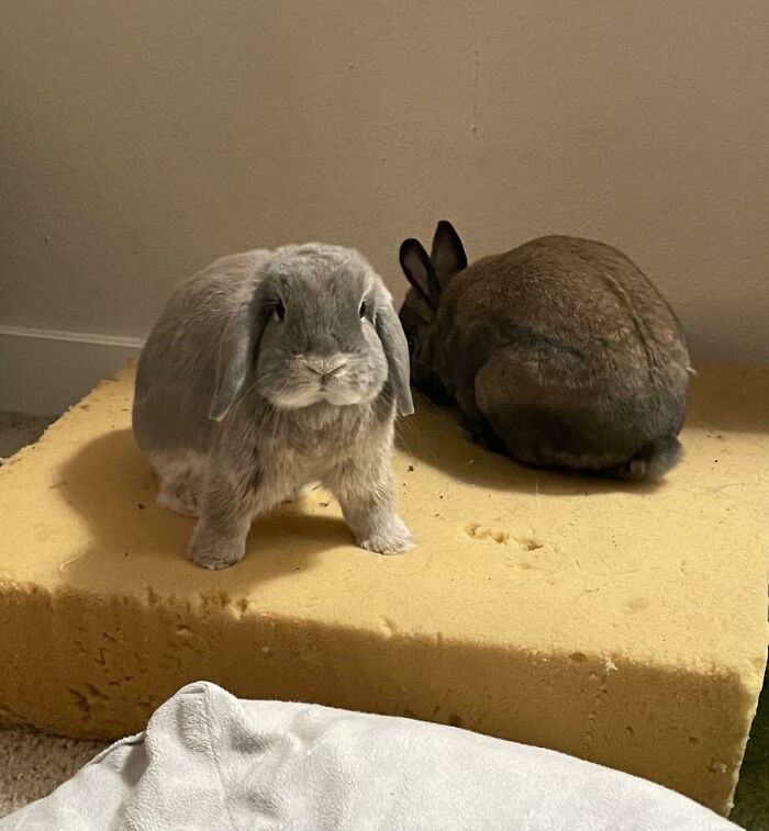 Why Does She Look So Ready To Beat Me Up