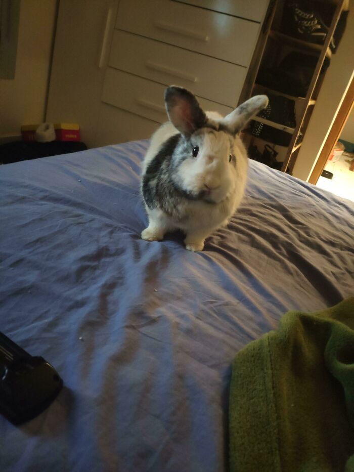 Almost A Year After I Got Her, She Finally Trusts Me