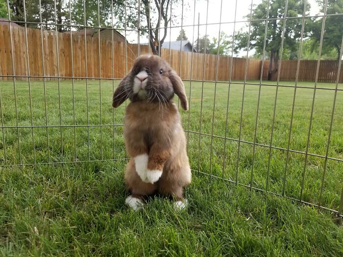 My Handsome Boy Cobalt