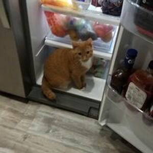 ahebert052977 avatar