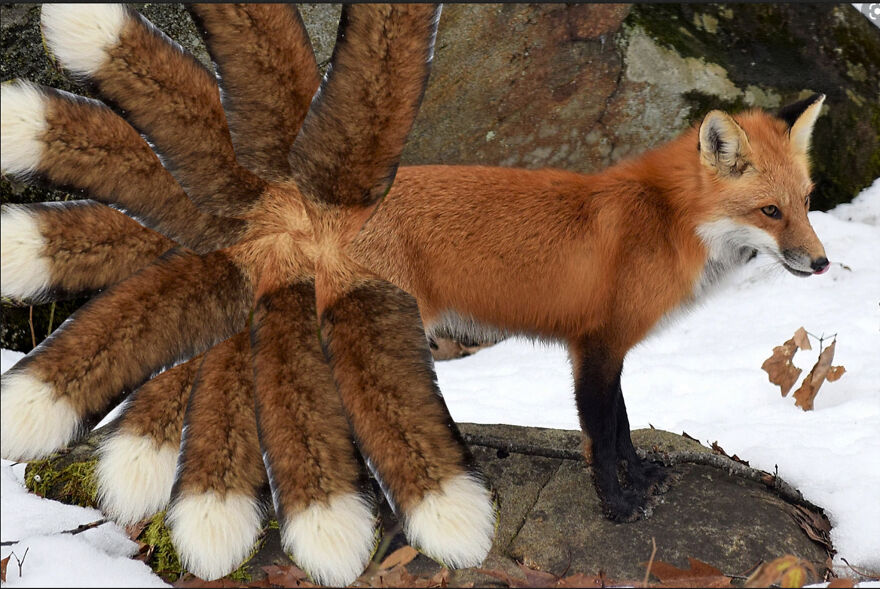 40 Low-Effort Photoshop Mythical Creatures