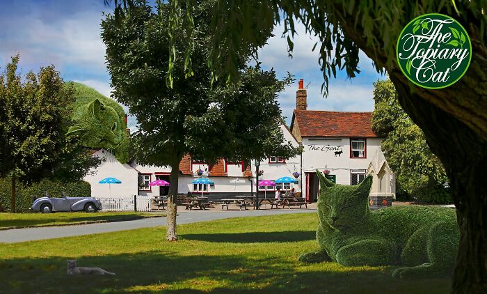 The 75-Year-Old Artist Has Been Creating Giant And Surreal Bushes In Honor Of The Deceased Cat For 5 Years (73 Pics)-Interview