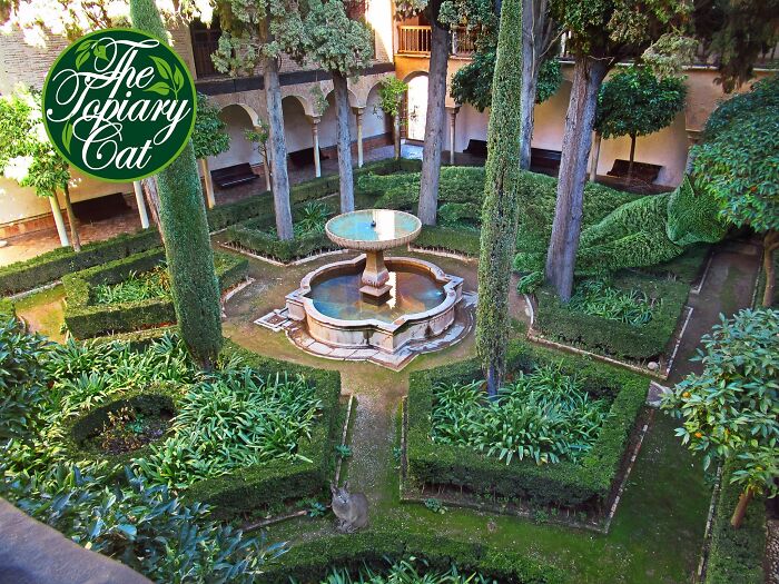 The 75-Year-Old Artist Has Been Creating Giant And Surreal Bushes In Honor Of The Deceased Cat For 5 Years (73 Pics)-Interview