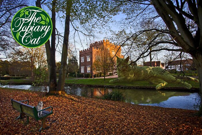 The 75-Year-Old Artist Has Been Creating Giant And Surreal Bushes In Honor Of The Deceased Cat For 5 Years (73 Pics)-Interview