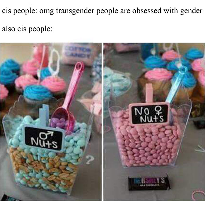 Just A Little Bit Too Obsessed With Genitalia