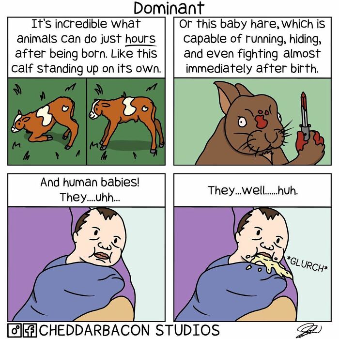Comic from Cheddar Bacon Studios showing a humorous comparison of newborn animals and human babies’ abilities.