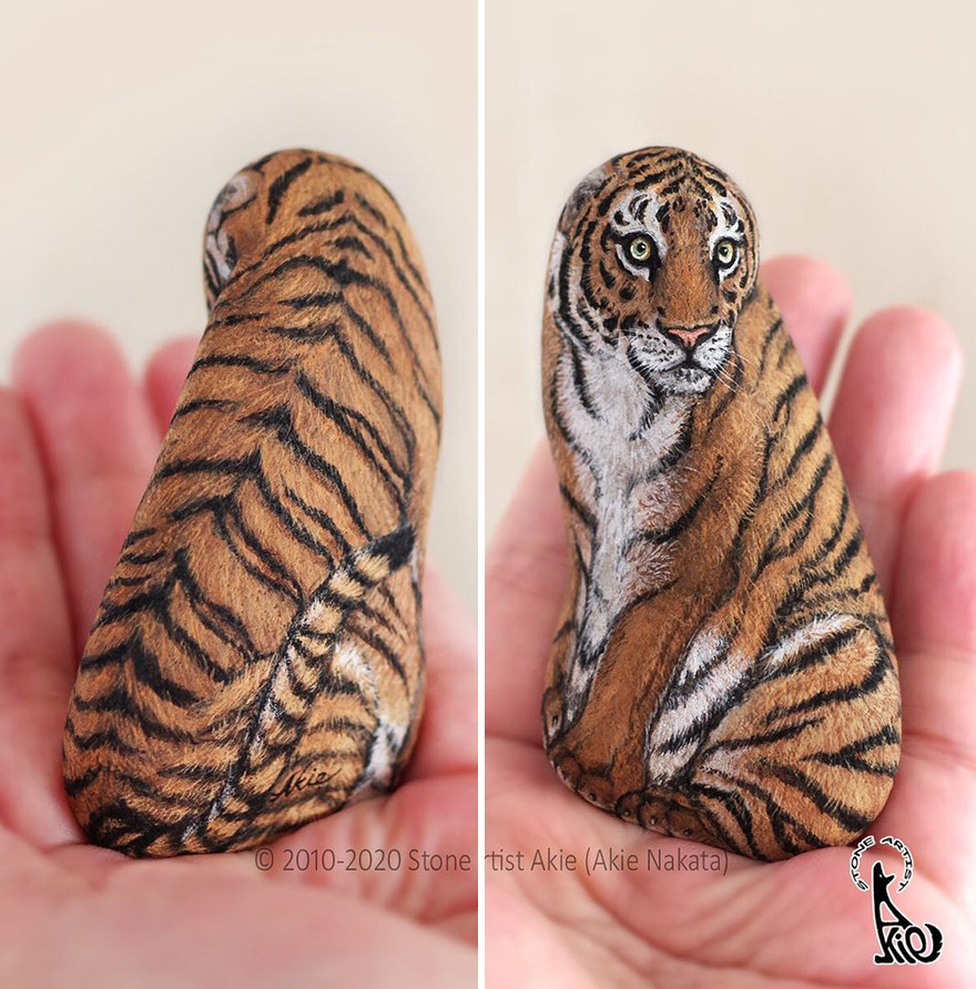 Akie Nakata, Japanese Artist Turns Stones Into Art And The Result Is Amazing (New Pics)