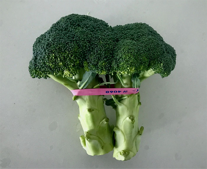 30 People In This Online Group Share Lesser-Known Secondary Uses For Everyday Products