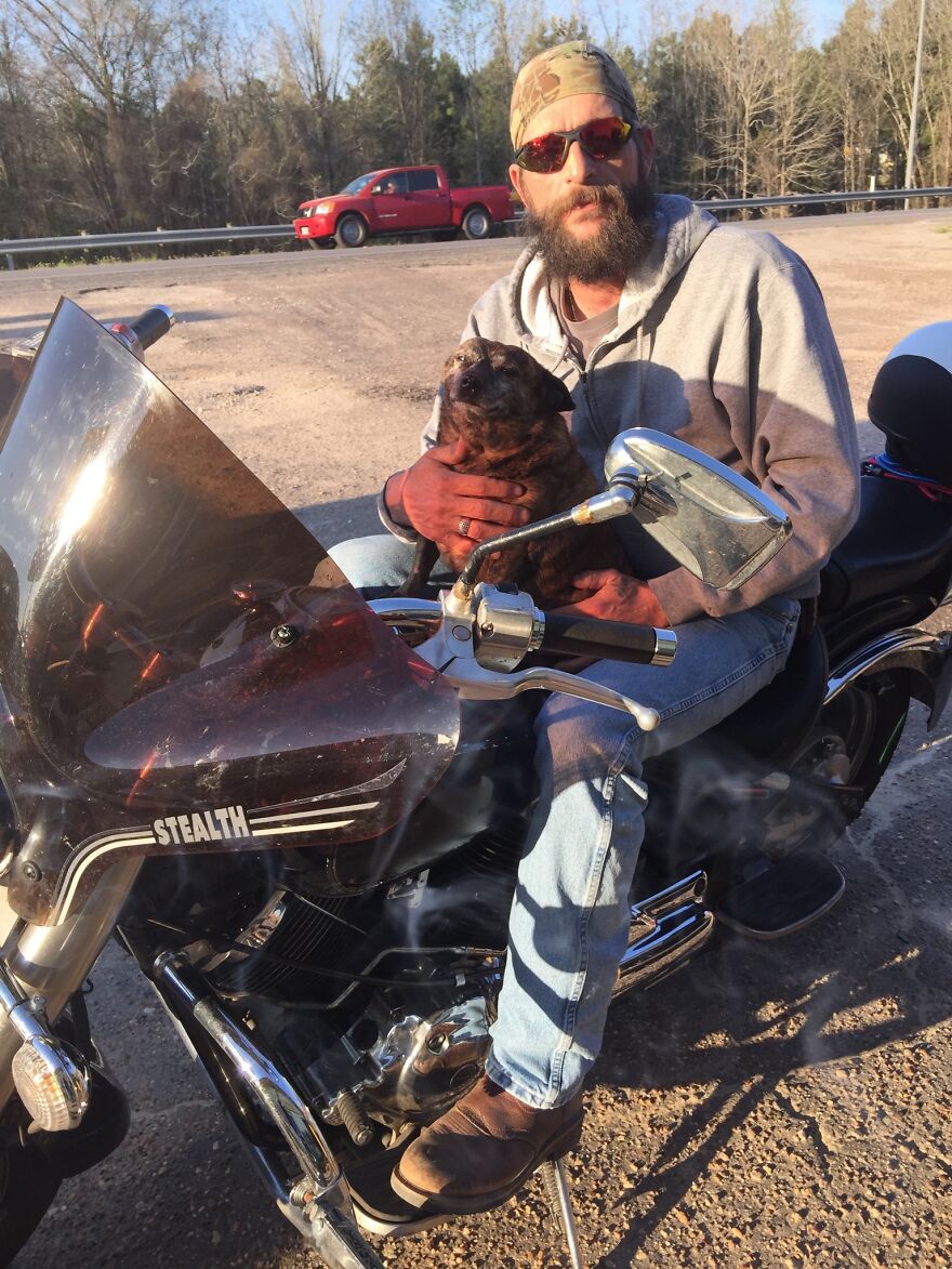 My Happy Little Life