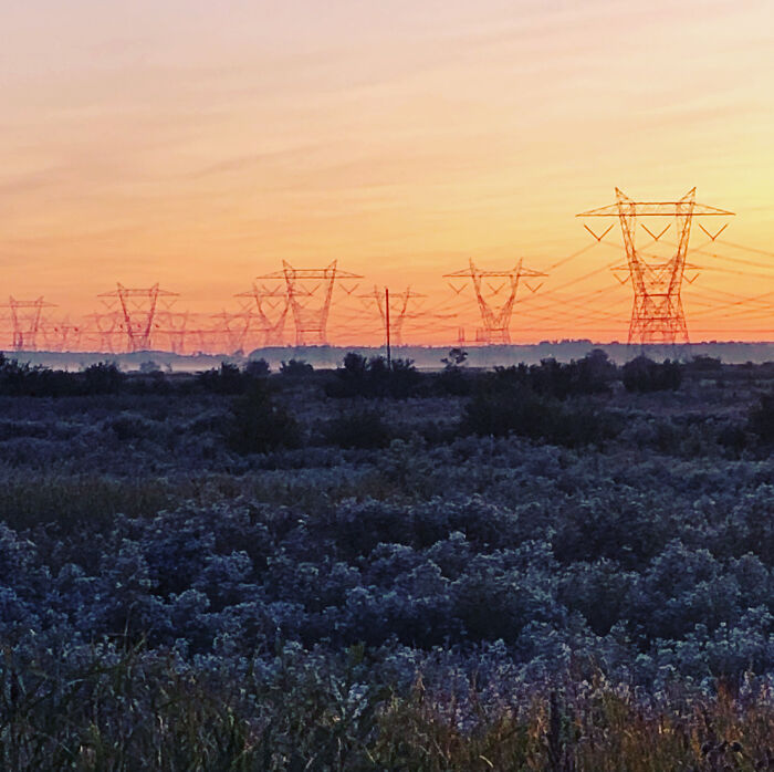 Frozen Field In Quebec City, Canada