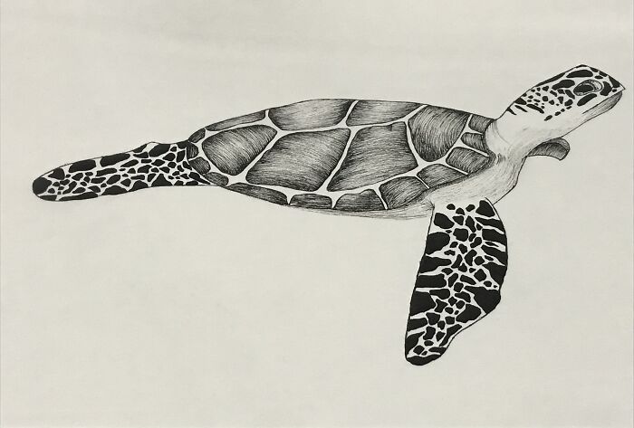 I Love To Draw And This Is One Of My Favourites.