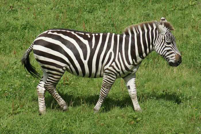 30 Incredibly Bizarre Things People Saw Happen Yet Others Refuse To Believe They Did