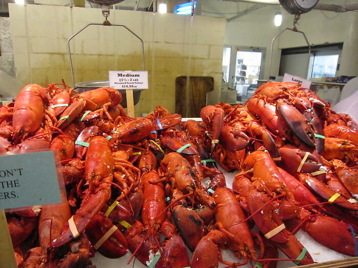 30 Of The Weirdest And The Most Disturbing Facts From Known History, Shared By People In This Online Group