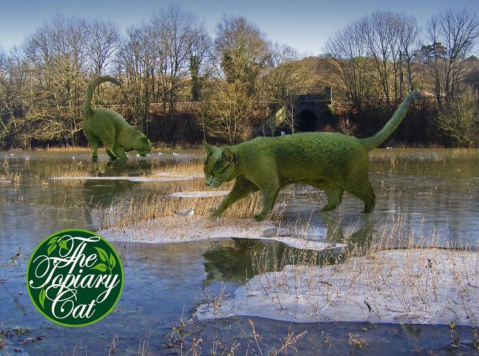 This 75-Year-Old Artist Creates Edits Of Bushes In Honor Of His Deceased Cat