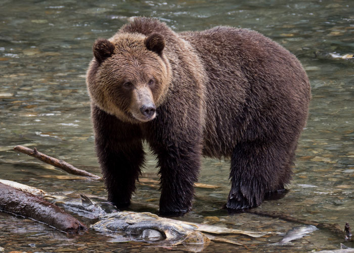 30 Life-Saving Tips That Aren't Hard To Remember But Can Make A Huge Difference