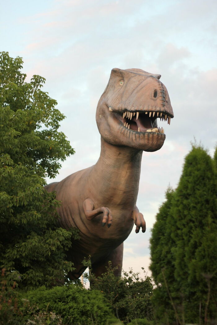 30 Of The Weirdest And The Most Disturbing Facts From Known History, Shared By People In This Online Group